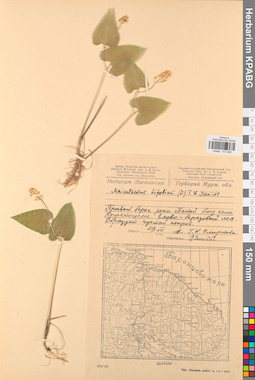 KPABG013298