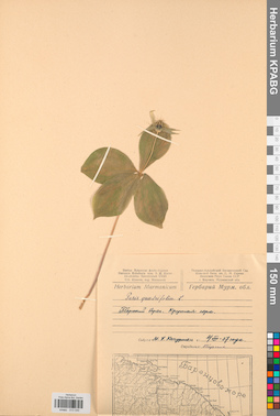 KPABG013330