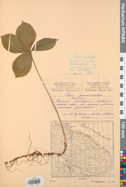 KPABG013332