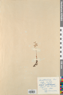KPABG013436
