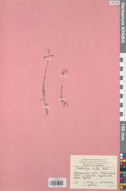 KPABG013444