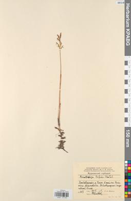 KPABG013446