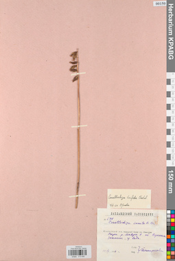 KPABG013456