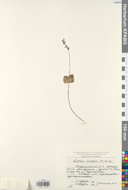 KPABG013480