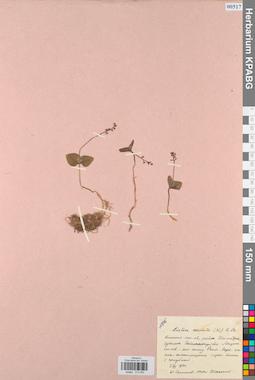 KPABG013502