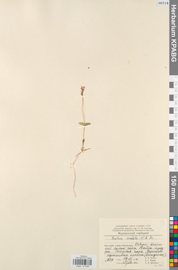 KPABG013503