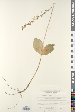 KPABG013534