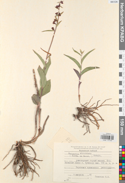 KPABG013539