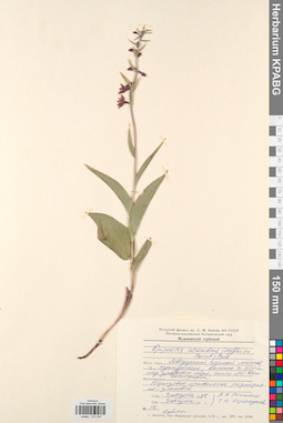 KPABG013547