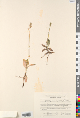 KPABG013584