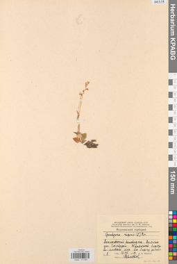KPABG013585