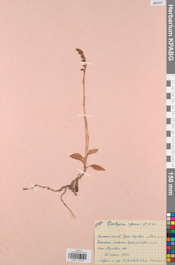KPABG013587