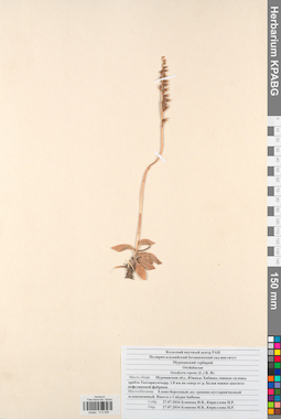 KPABG013598