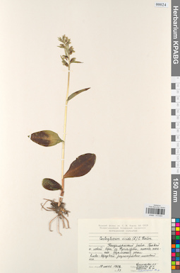 KPABG013624