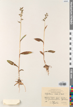 KPABG013660