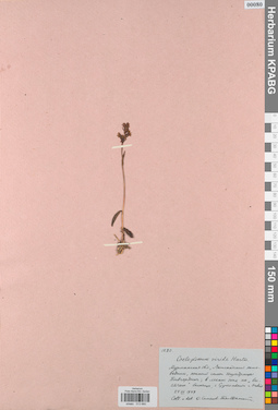 KPABG013680