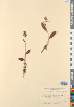 KPABG013687