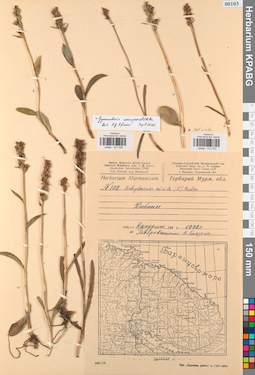 KPABG013703