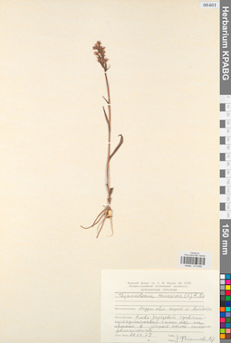 KPABG013808