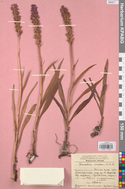 KPABG013824
