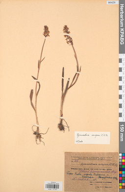 KPABG013827