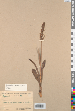 KPABG013828