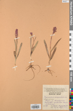 KPABG013834
