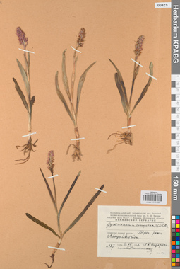 KPABG013835