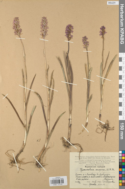 KPABG013836