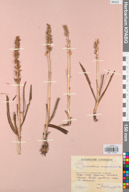 KPABG013839