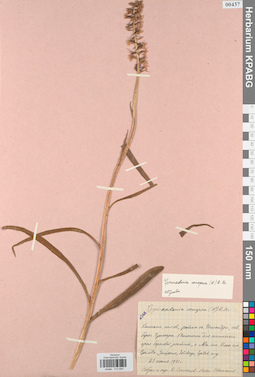 KPABG013844
