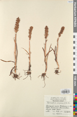 KPABG013864