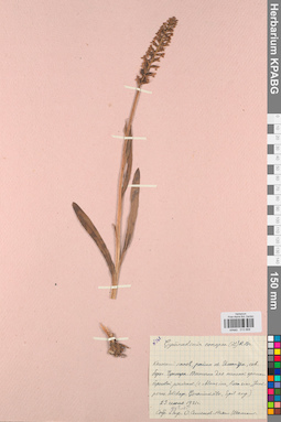 KPABG013868