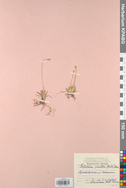 KPABG012931