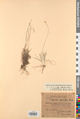 KPABG012933