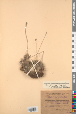 KPABG012934