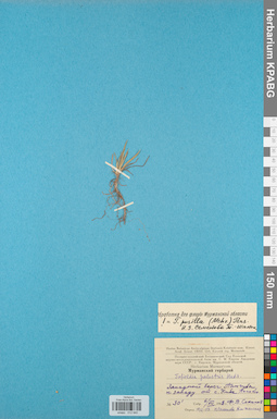 KPABG012940
