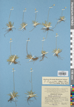 KPABG012959