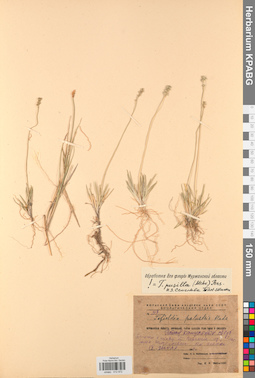KPABG012972