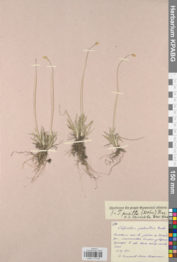 KPABG013040