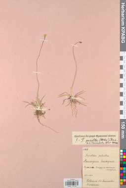 KPABG013041
