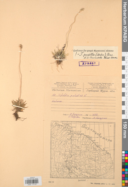 KPABG013047
