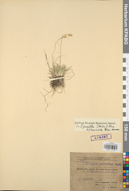 KPABG013049