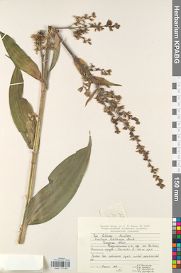 KPABG013066