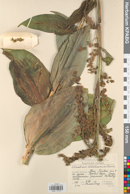 KPABG013073