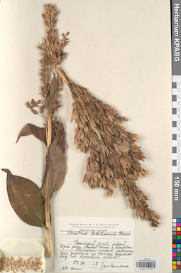 KPABG013092