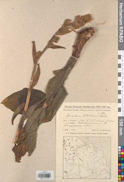 KPABG013094