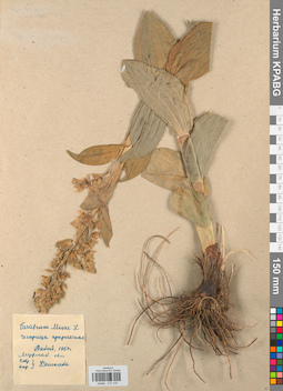 KPABG013135