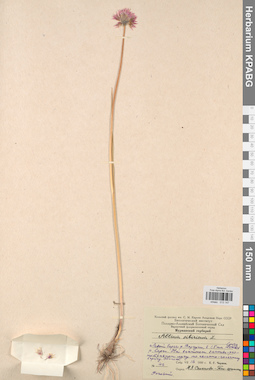 KPABG013147