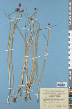 KPABG013189